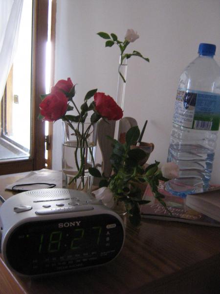 Qu'est ce que je peux aimer les fleurs...