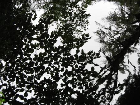 J'aime bien cette photo...